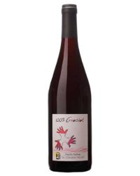 Domaine Les Grandes Vignes - 100% Groslot 2022