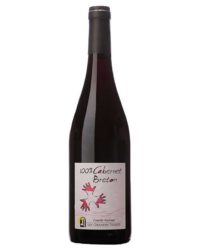 Domaine Les Grandes Vignes - 100% Cabernet Breton 2022