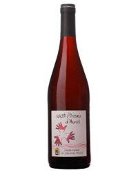 Domaine Les Grandes Vignes - 100% Pineau d’Aunis 2020