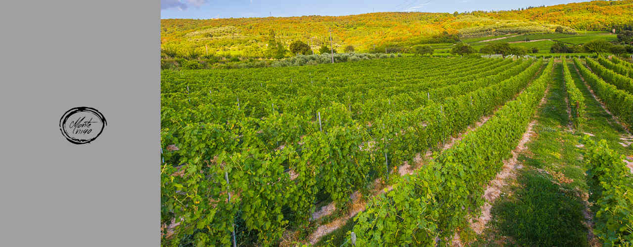 Montenigo Winery