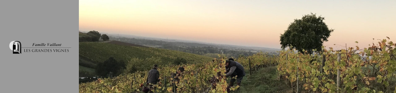Les Grandes Vignes Winery