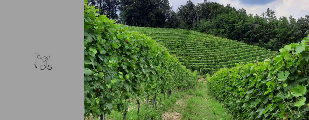 De Simone Winery