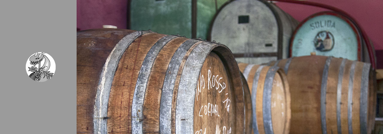 Antonio Ligabue Winery