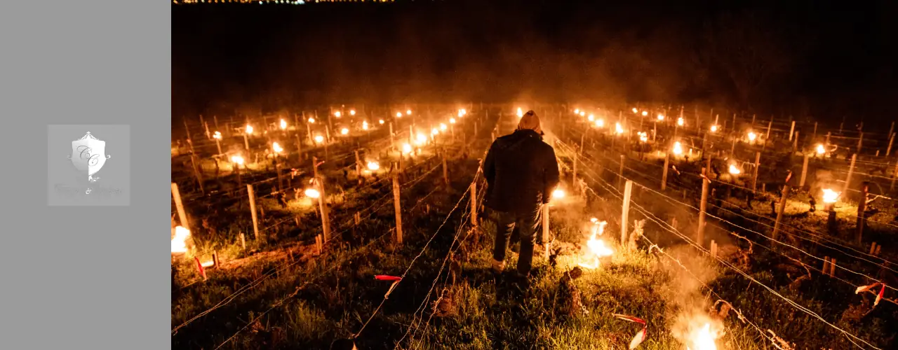 Chapuis et Chapuis Winery
