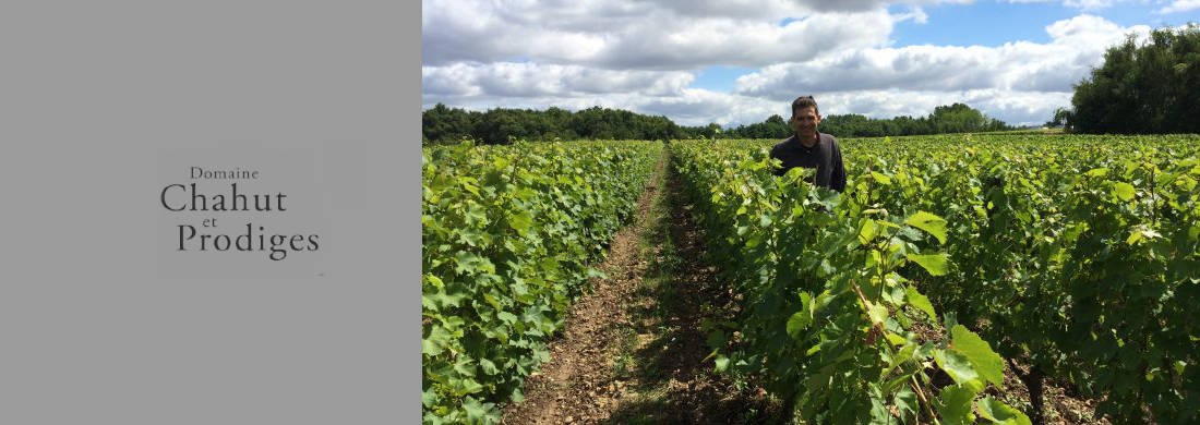 Chahut et Prodiges Winery