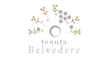 Cantina Tenuta Belvedere