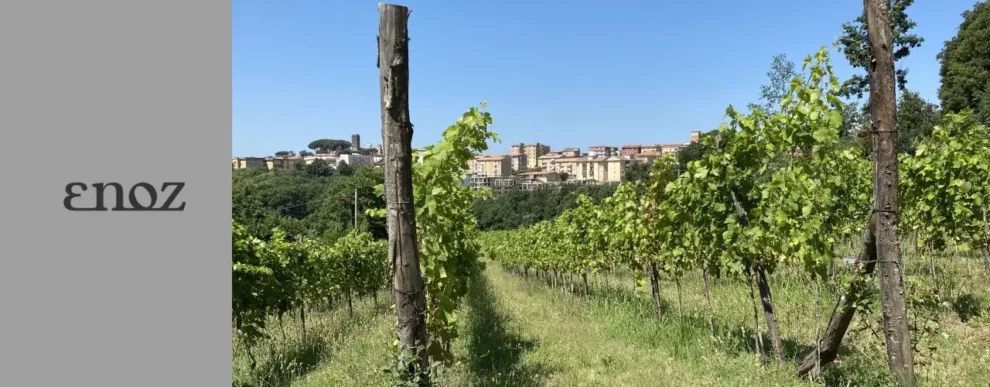 Enoz Winery – Masseria Torricella