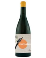 cantina-Villa-piantagrane__