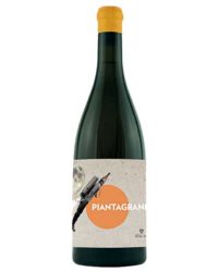 Villa Job - Piantagrane 2021