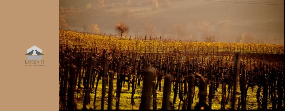 Lusenti Winery