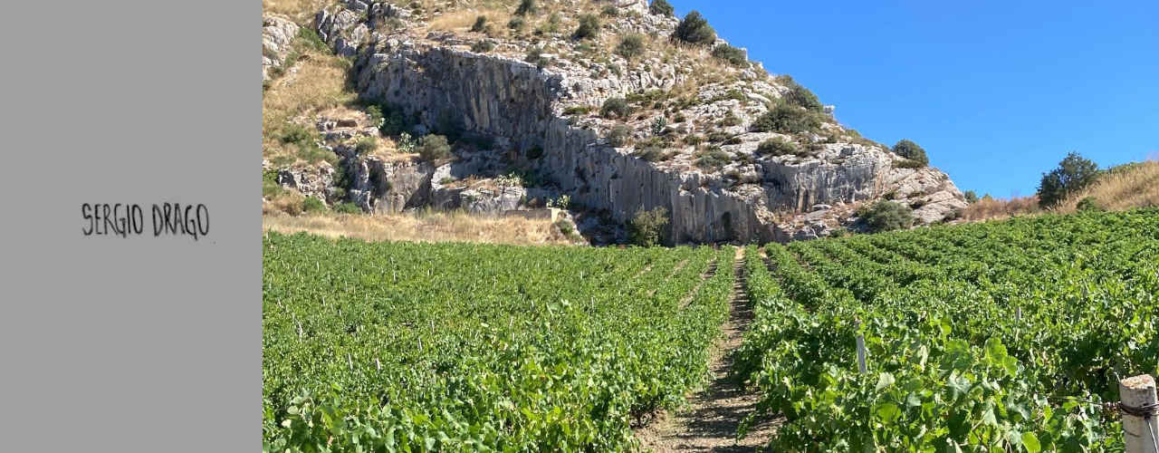 Sergio Drago Winery