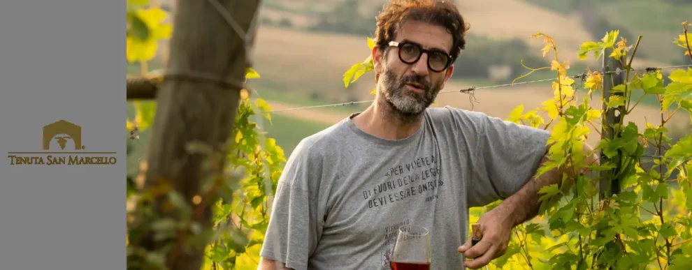 Cantina Tenuta San Marcello