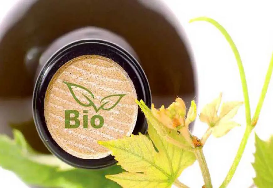 vino biologico 700.jpg
