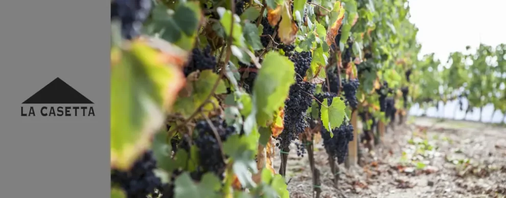 Cantina La Casetta