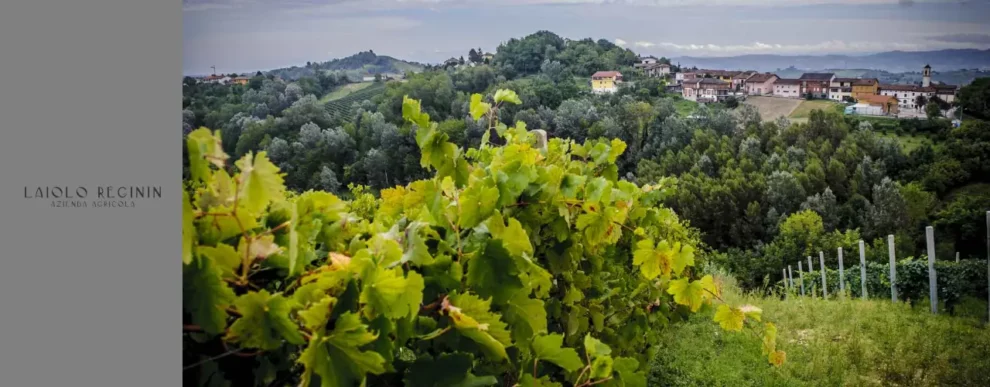 Cantina Laiolo Reginin