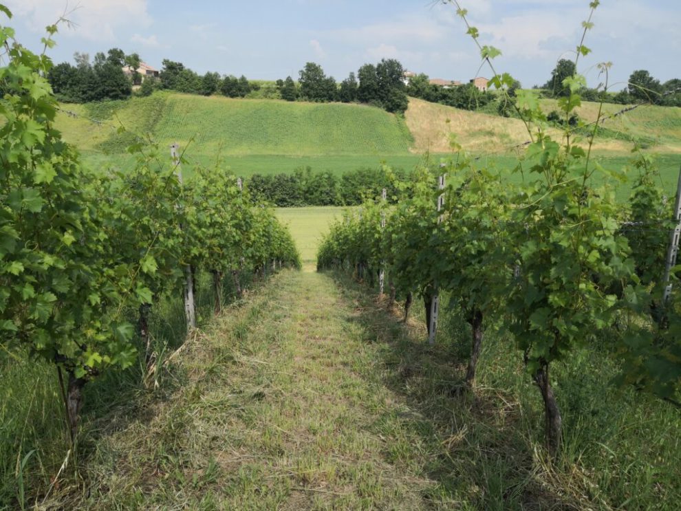 La Poiesa Winery