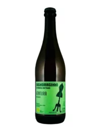 Signoraginni - Ventura 2022