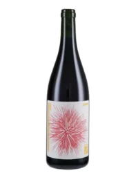 Agricola Sette - Riccio 2023