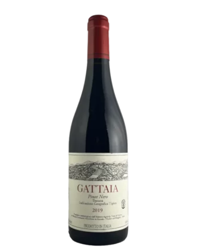 Terre di Giotto - Gattaia Rosso 2019