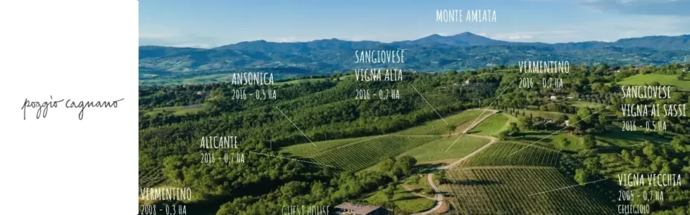 Poggio Cagnano