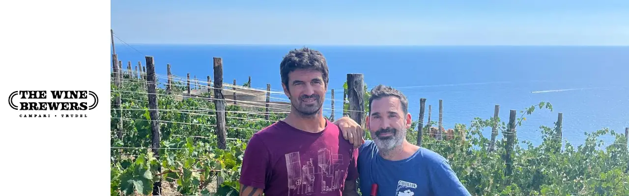 The Wine Brewers