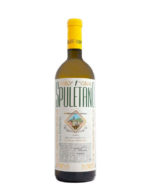 iacopo paolucci – Spuletano