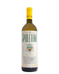 Iacopo Paolucci - Spuletano 2022