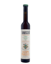 Iacopo Paolucci - Ammuscito 2022