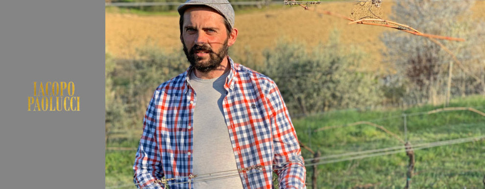 Iacopo Paolucci Winery