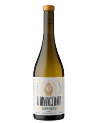 Iacopo Paolucci - Il Rimacerato 2021