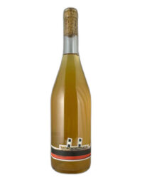 Duilio - D2 Duilio Secondo 2023