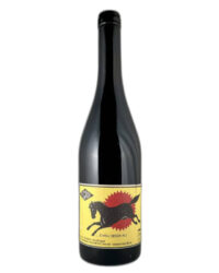 Duilio - Pegaso 2023
