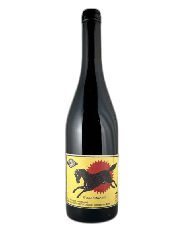 Cantina Duilio E voli senza ali Duilio - Pegaso 2023