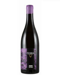 Mario Macciocca - Terra Rossa 2024